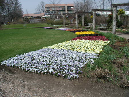 photo-garden